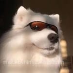 Avatar de Hernán Barrios